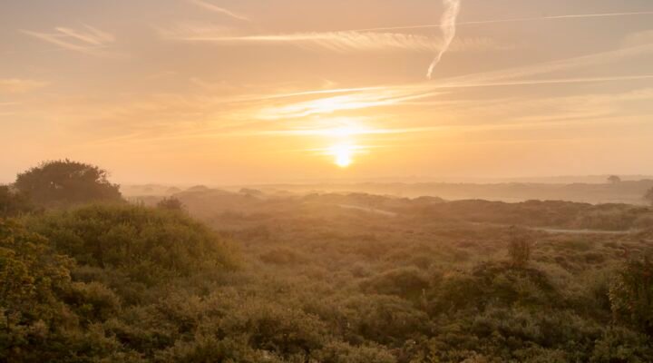 Misty Morning on Terschelling