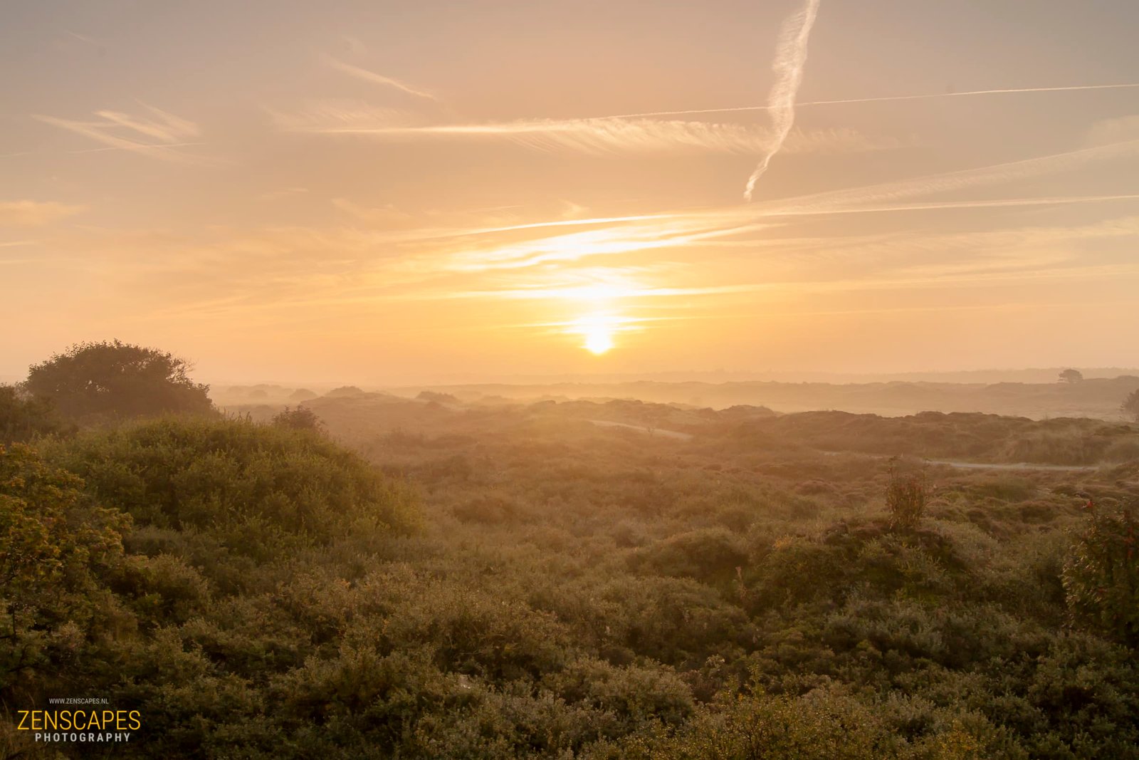 Misty Morning on Terschelling