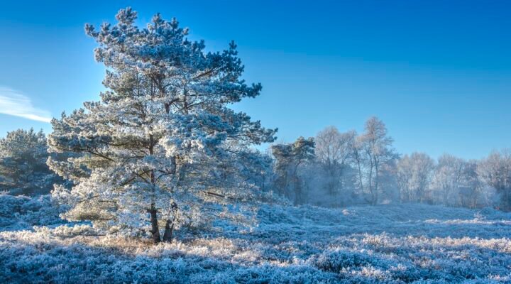 Winter Wonderland - Winterlandschap in Drenthe