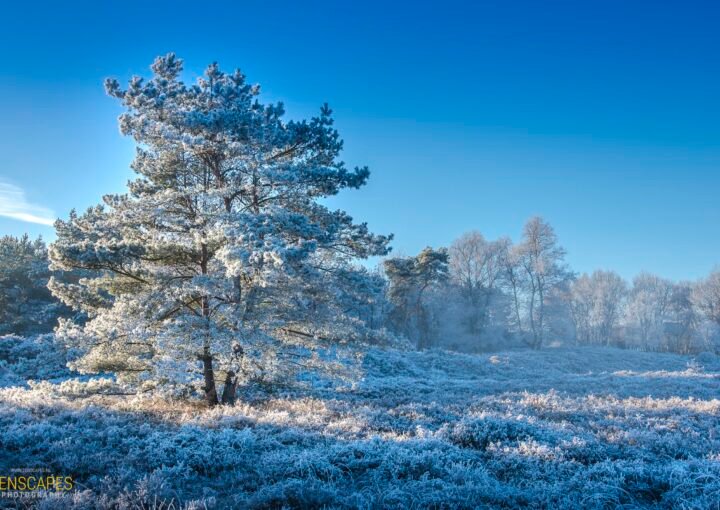 Winter Wonderland - Winterlandschap in Drenthe