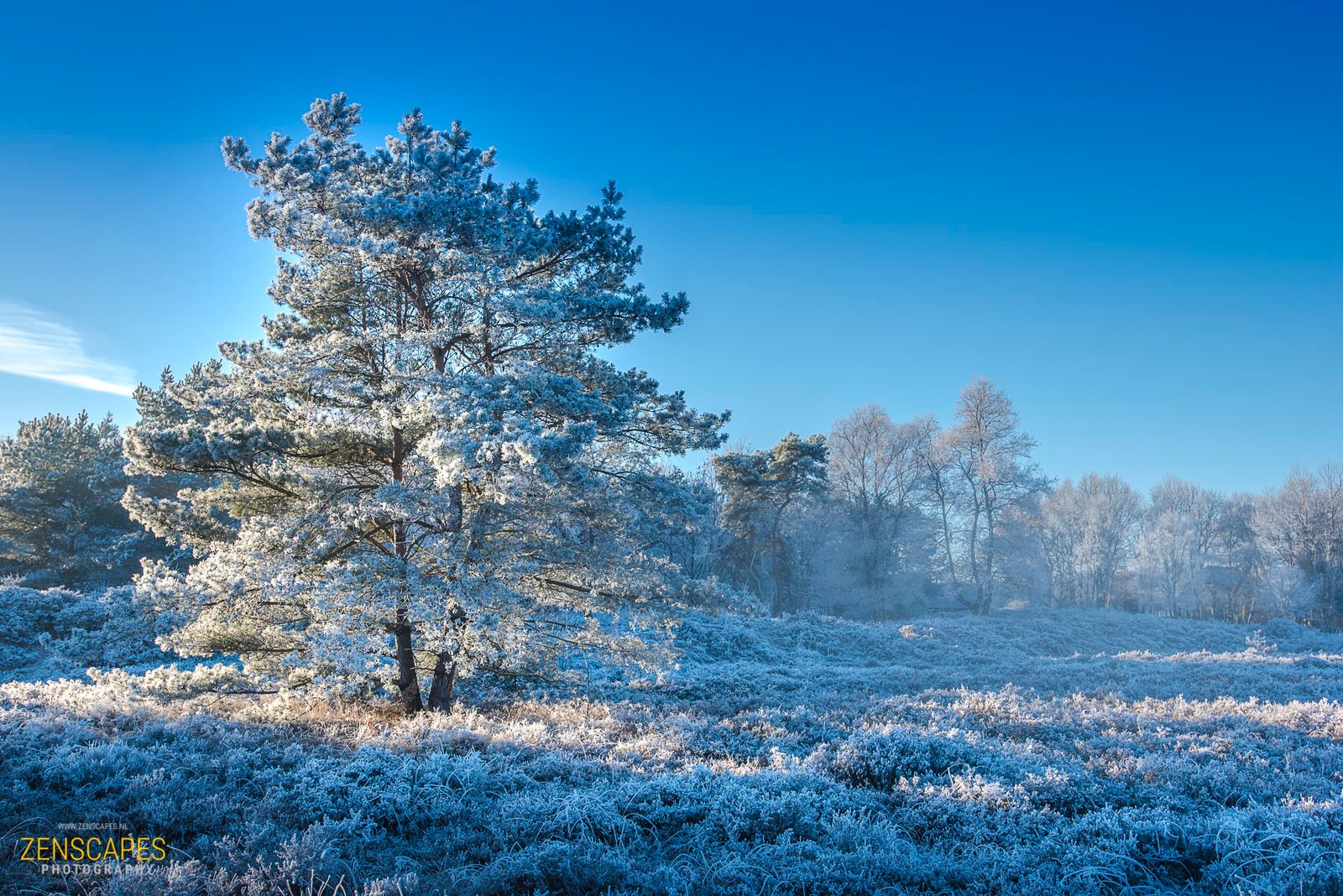 Winter Wonderland - Winterlandschap in Drenthe