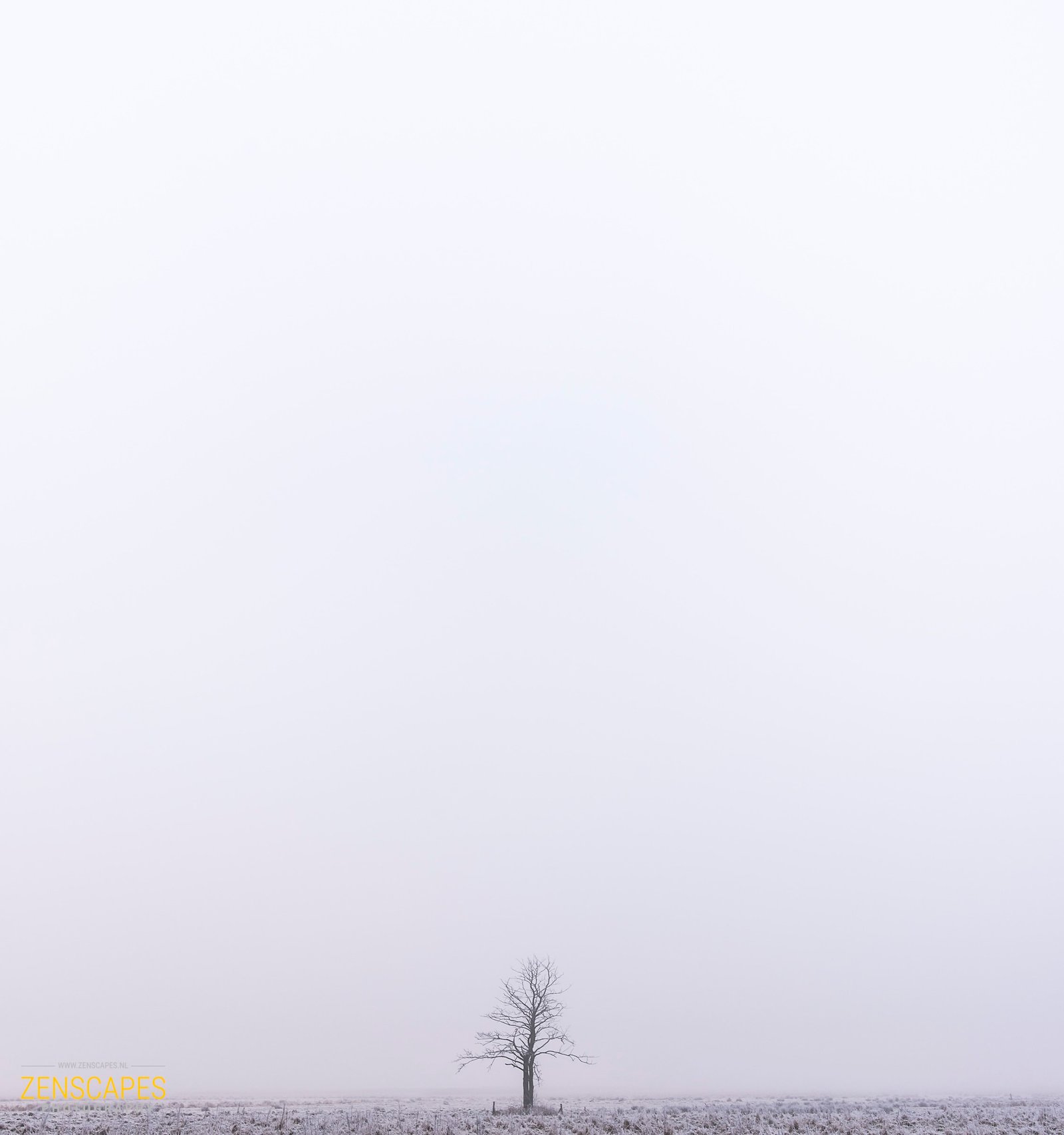 Serene rust in De Onlanden - Groningen