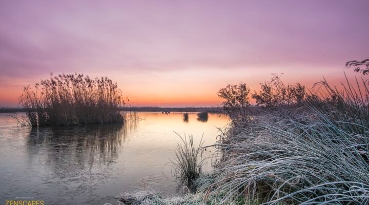 Zonsopkomst in de Onlanden bij Groningen