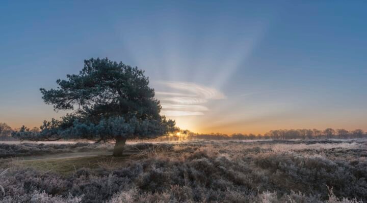 Een mooie ochtend in de Gasterse Duinen