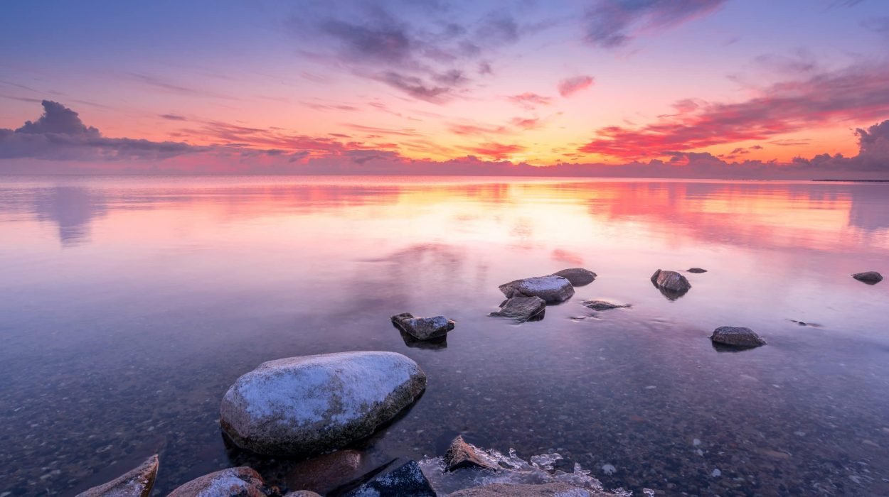 Prachtige landschapsfoto aan de kust van het IJsselmeer