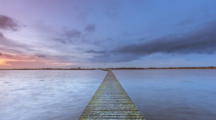 't Roegwold - ruige nieuwe natuur onder de rook van Groningen