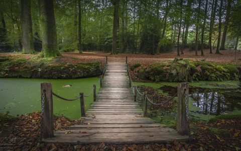 Landgoed De Braak - Paterswolde