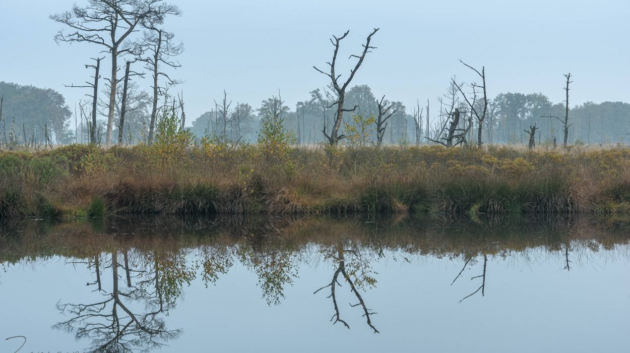 Reflectie - De Appelbergen - Glimmen
