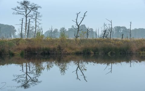 Reflectie - De Appelbergen - Glimmen