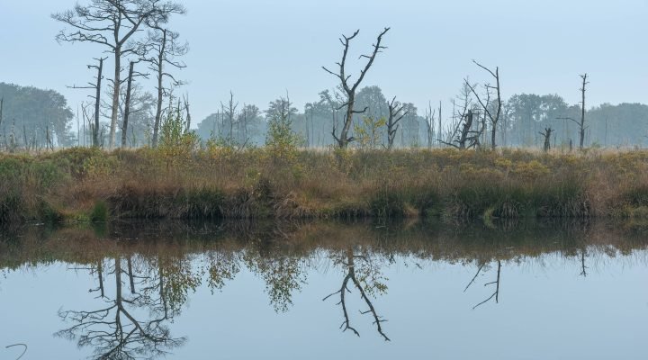 Reflectie - De Appelbergen - Glimmen