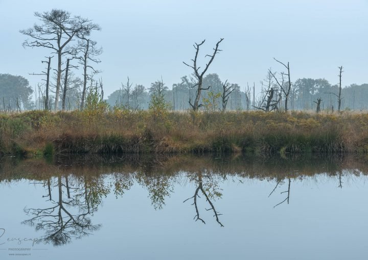 Reflectie - De Appelbergen - Glimmen