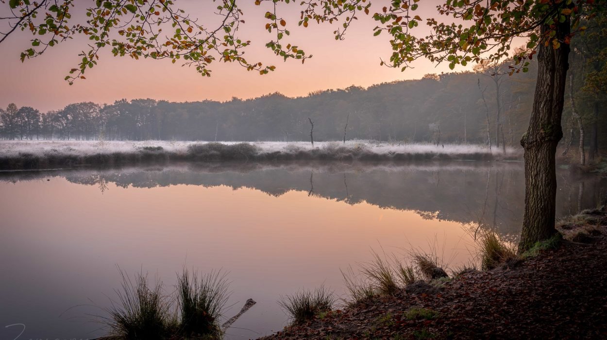 Koude zonsopkomst in de Appelbergen