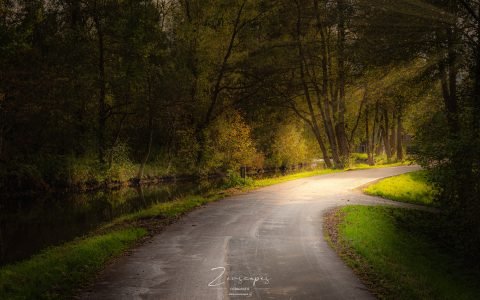 Herfstkleuren aan het Paterswoldse Meer - Landschapsfotografie in de herfst