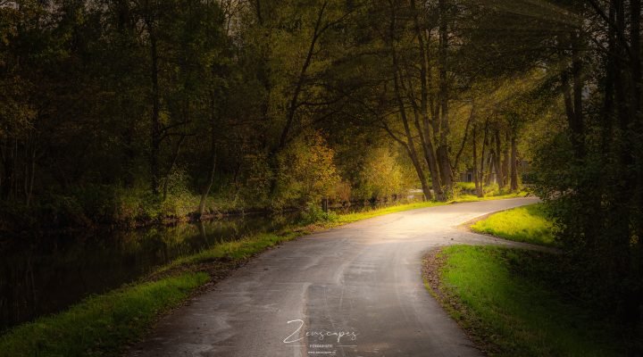 Herfstkleuren aan het Paterswoldse Meer - Landschapsfotografie in de herfst