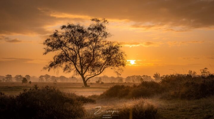 Prachtige zonsopkomst in het Balloërveld