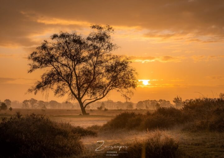 Prachtige zonsopkomst in het Balloërveld