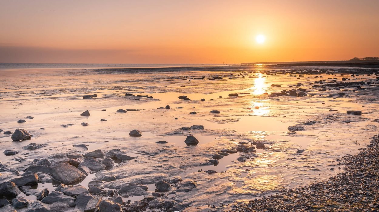 Wierum aan de Waddenzee - Friesland - Een prachtige landschapsfoto