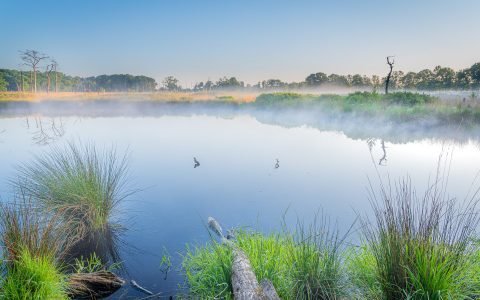 Landschapsfotografie Groningen - Voorjaar in het bos Appelbergen