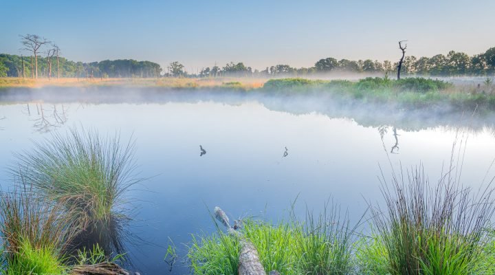 Landschapsfotografie Groningen - Voorjaar in het bos Appelbergen