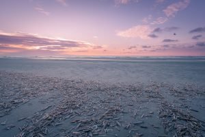 Zonsondergang op het strand op Terschelling - Midsland aan Zee