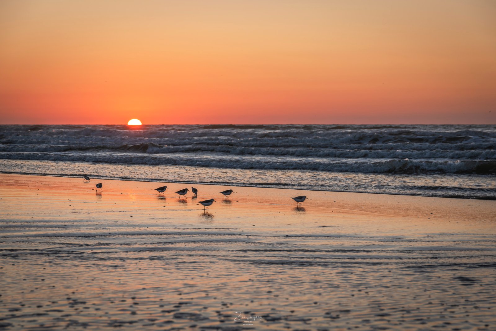 Strandlopers op het strand van Terschelling bij zonsondergang